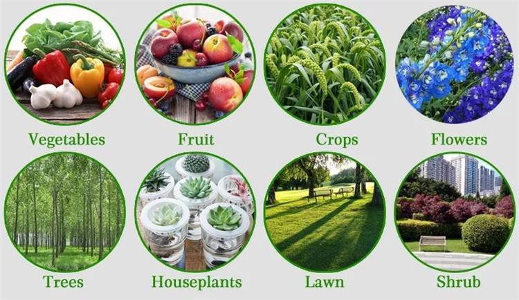 高塔颗粒肥料具有广泛的应用范围。经济作物和农作物能充分吸收营养，提高果实品质和坐果率，提高经济效益。